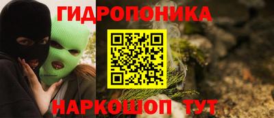 стаф Будённовск