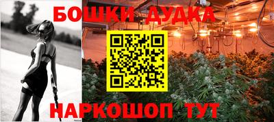 стаф Будённовск