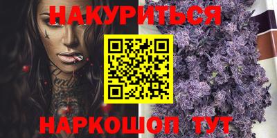 стаф Будённовск